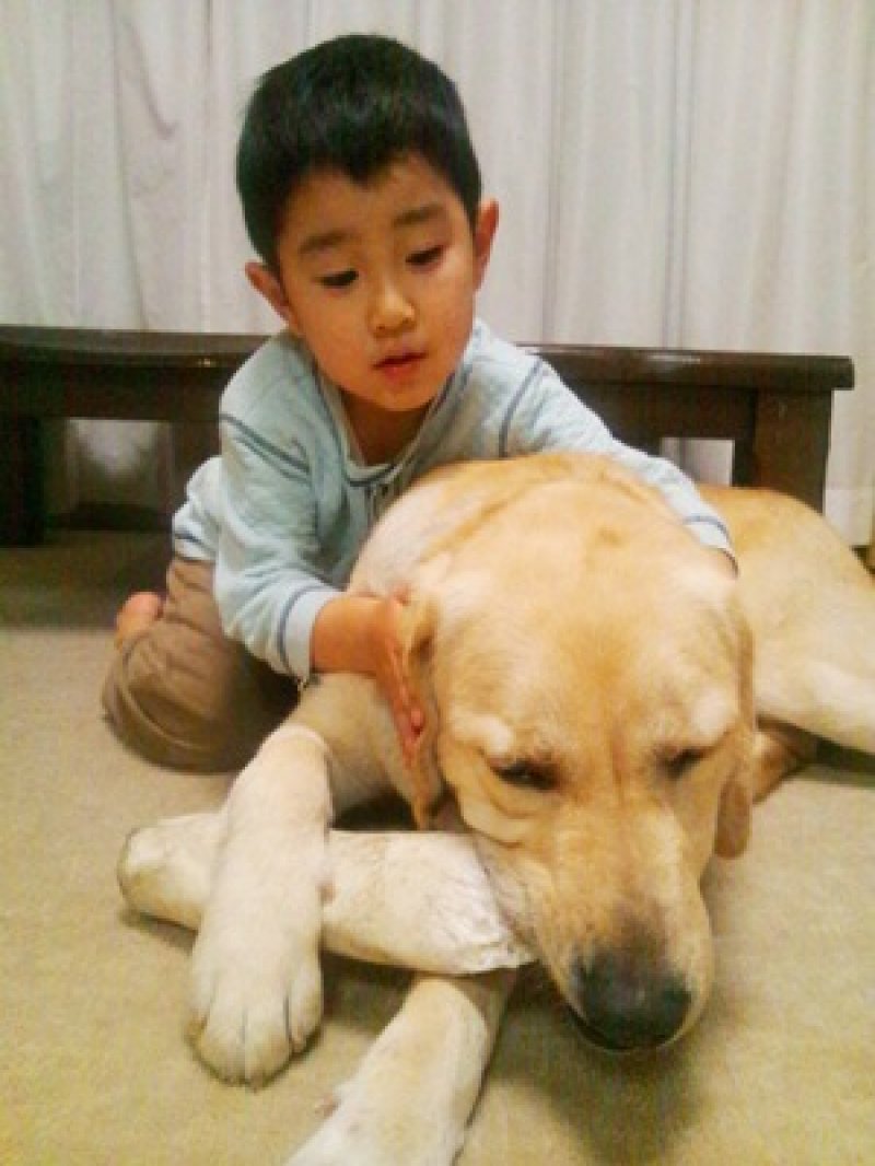 小橋ブランシュちゃんのお手紙1♪グレイスフルランド ラブラドールレトリバーといっしょに暮らそう！ 子犬の