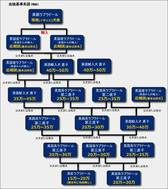 血統基準系図（略図）　価格早見表