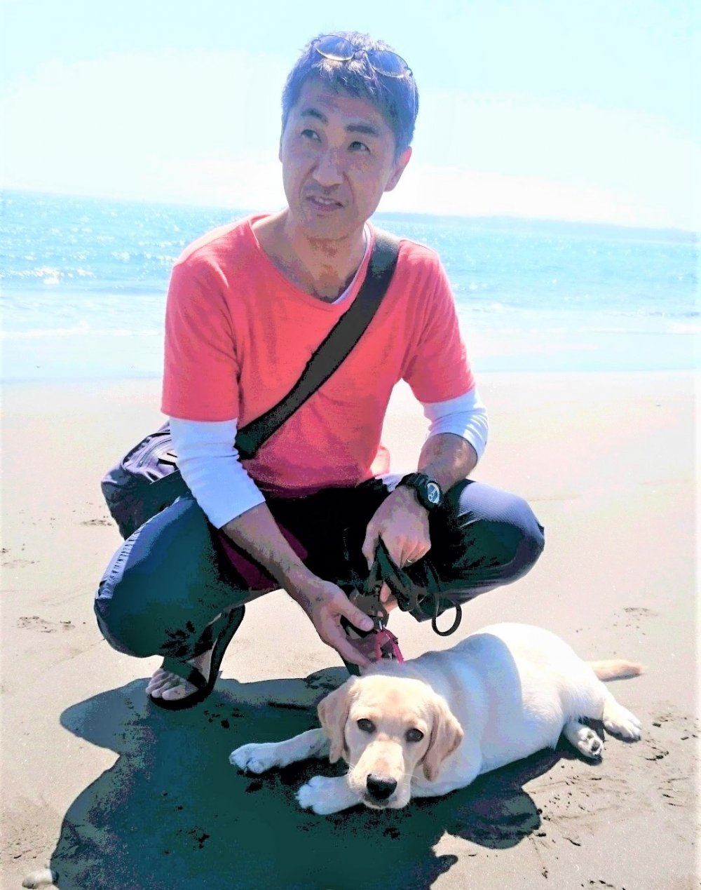 加藤ピーナッツくんのお手紙2 グレイスフルランド ラブラドールレトリバーといっしょに暮らそう 子犬の分譲販売 交配 ブリーダー